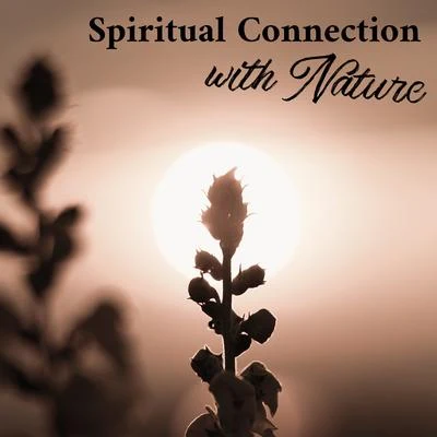 Spiritual Connection with Nature - Meditation Therapy Music with Nature Sound, Asian Zen, Deep Concentration, Chakras Energy, Relax Your Brain, Open H 專輯 Serenity Music Academy/Relaxation Music Guru/Nature Tribe