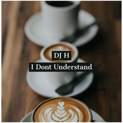 I Don&#x27;t Understand 专辑 Stefy/Dj H