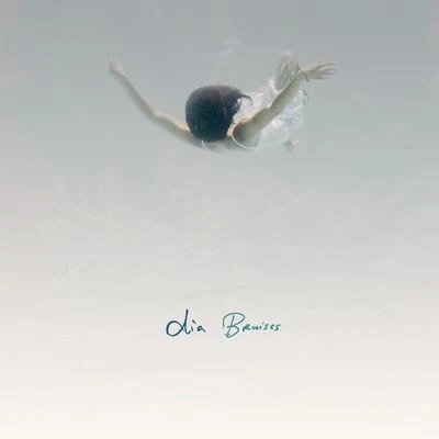 Bruises 專輯 Dia Frampton