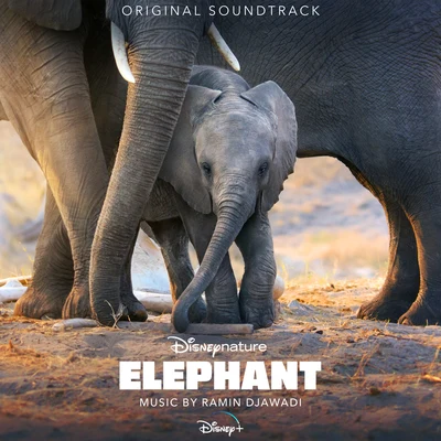 Elephant (Original Soundtrack) 专辑 Ramin Djawadi/KSHMR/The Golden Army