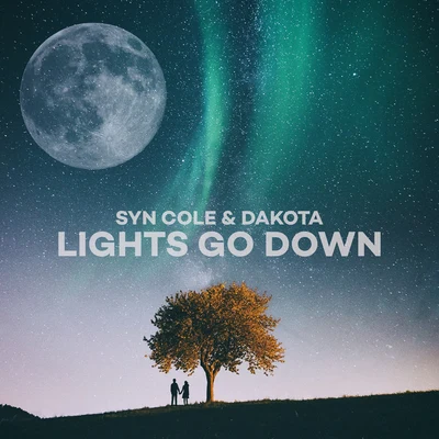 Lights Go Down 專輯 Syn Cole/Tensnake/Roxanne Emery/Lost Frequencies/Tiggi Hawke