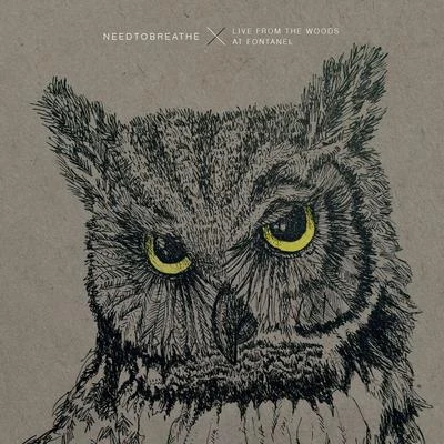 Needtobreathe Live From the Woods