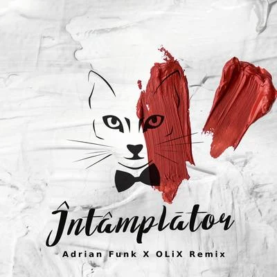 Intamplator (Adrian Funk X OLiX Remix) 專輯 The Motans