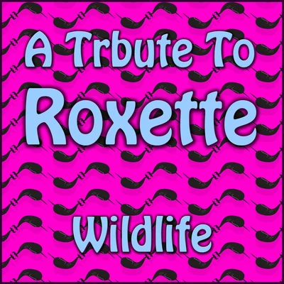 A Tribute To Roxette 專輯 Wildlife/Various Arists/Sergey Sivenenko/Cj RcM/RD Project