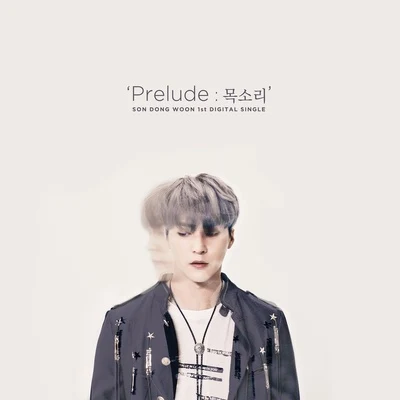 Prelude : 목소리 专辑 孙东云