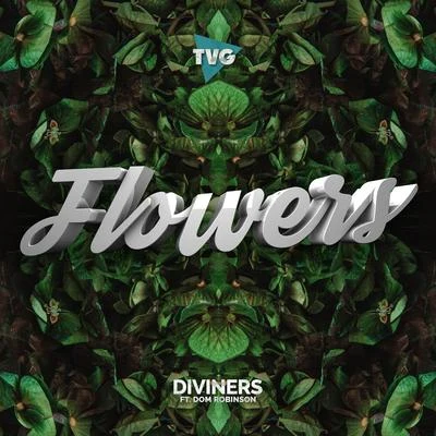 DivinersCRVNTim BeerenIZECOLDMolly Ann Flowers (feat. Dom Robinson)