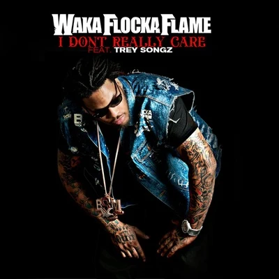 I Dont Really Care 專輯 Waka Flocka Flame/Steve Aoki