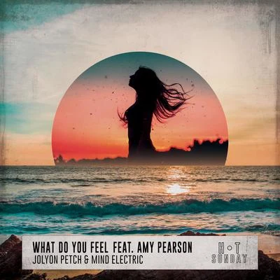 Jolyon Petch What Do You Feel (feat. Amy Pearson)