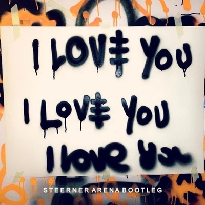 I Love You (Steerner Arena Bootleg) 专辑 Felipe C/Steerner/Kourosh Tazmini/Vuk Lazar/Anda Adam