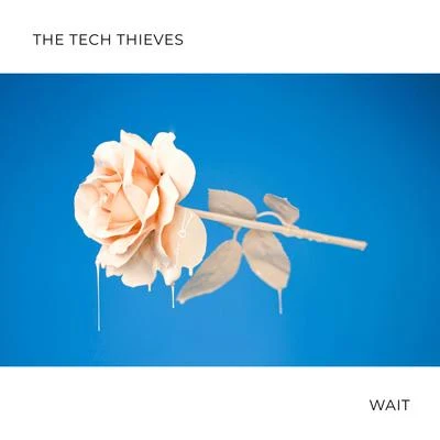 Wait 专辑 The Tech Thieves/Besomorph