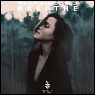 Breathe 专辑 Simon Sinfield