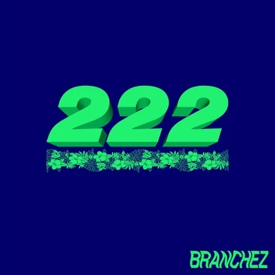 222 专辑 Branchez/Janine and the Mixtape