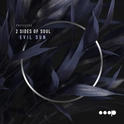 Evil Sun 專輯 2 Sides Of Soul