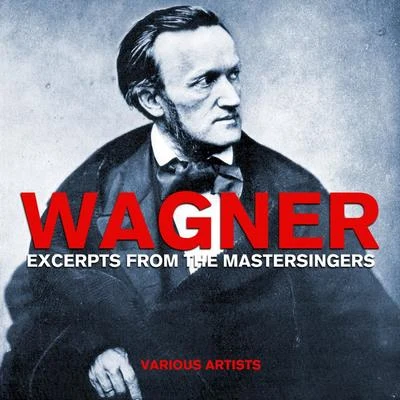 Wagner Excerpts From The Mastersingers 專輯 Detroit Symphony Orchestra/Paul Paray