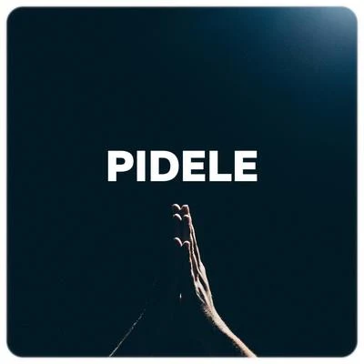 Pídele (feat. Negro Jóse) 专辑 Jandy Feliz/David Cañizares