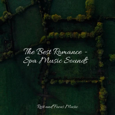 The Best Romance - Spa Music Sounds 专辑 Thinking Music World/Massage Tribe