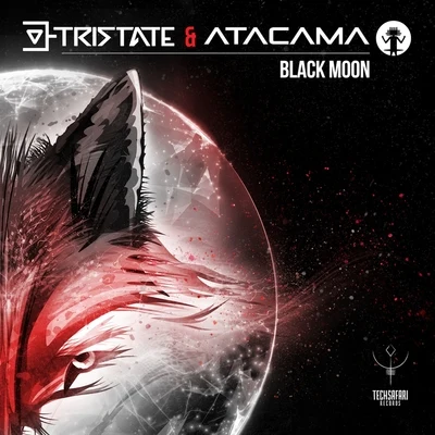 Black Moon 專輯 Atacama