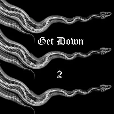 Get Down 2 專輯 Lil Jon