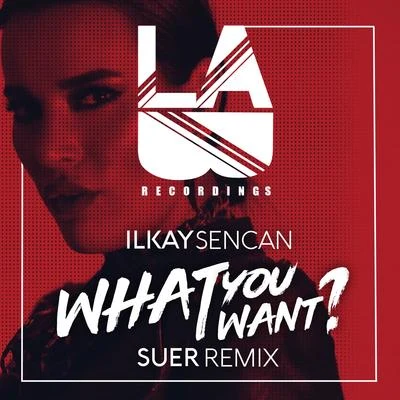 Ilkay SencanYves VQuintino & Blasterjaxx What You Want (SUER Remix)