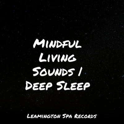 Mindful Living Sounds | Deep Sleep 專輯 Massage Therapy Music