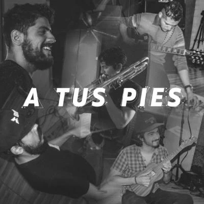 A Tus Pies (feat. José Meyer Ibarra, Thermo, Ruko Vagales, Tenampa Brass Band, Diego Orta, Galgo, Peri Durán, La Guíshi Funk, Ricki Kaiser, Dolphant, 專輯 Dolphant