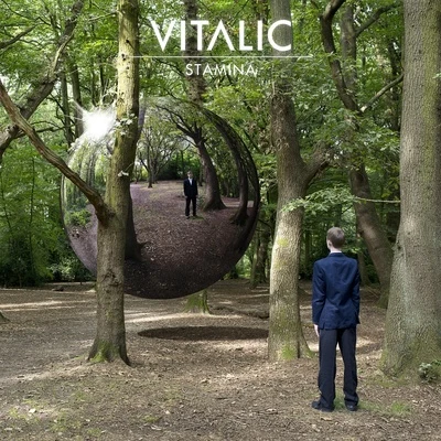 Stamina (Remixes) 专辑 Vitalic