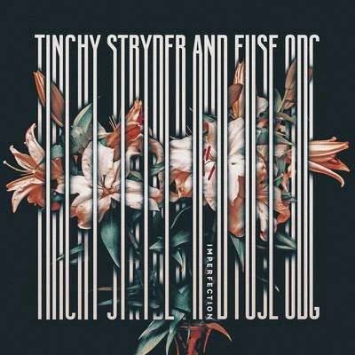 Imperfection 專輯 Tinchy Stryder/Skyla/Agnes/Pixie Lott/Taylor Swift