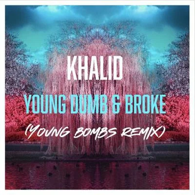 Young Dumb & Broke (Young Bombs Remix) 專輯 EVVY/YOUNG BOMBS