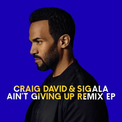 Aint Giving Up (Remixes) 專輯 Sigala/Becky Hill