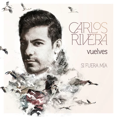 Vuelves (Si Fuera Mía) 专辑 Carlos Rivera