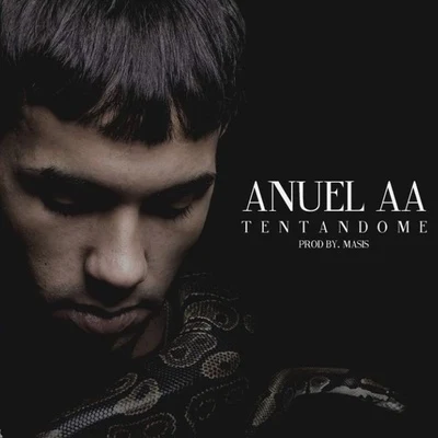 Tentandome 專輯 Anuel AA