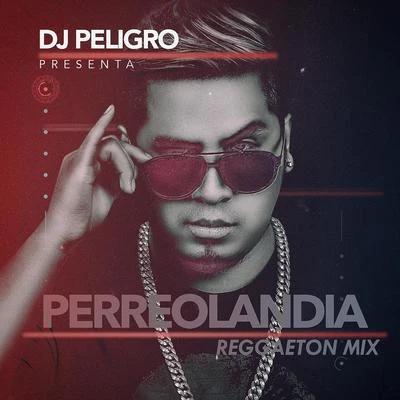 Perreolandia, Vol 1 (Reggaeton Mix) 專輯 Jordi/Joydil/DJ Zanes/Dj Peligro