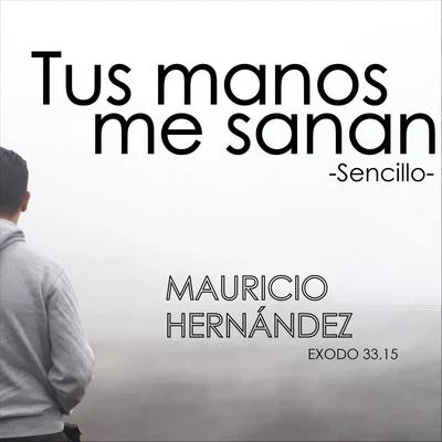 Tus Manos Me Sanan 專輯 袁野夕/Mauricio Hernandez/Rod Valdes/SAOBEAR/JackSwaggy