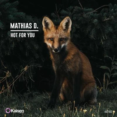 Hot For You 專輯 Mathias D./Marc Franco & That Bass