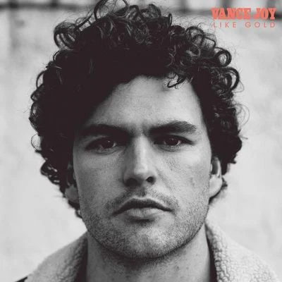 Like Gold 專輯 Vance Joy