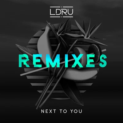 Next To You (Remixes) 專輯 L D R U