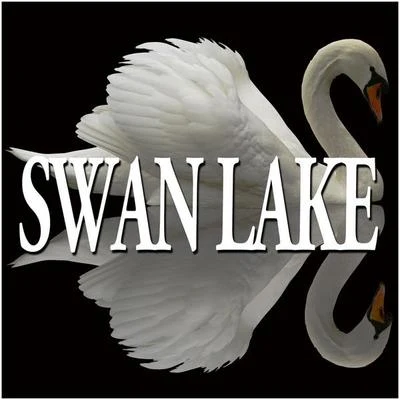 Tchaikovsky : swan lake the sleeping beauty [excerpts] 專輯 Bolshoi Symphony Orchestra/Alexander Lazarev