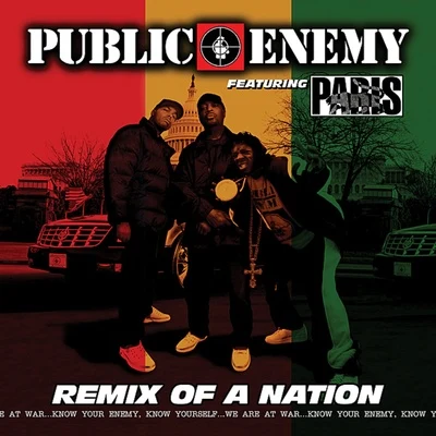 Remix of a Nation 專輯 Public Enemy