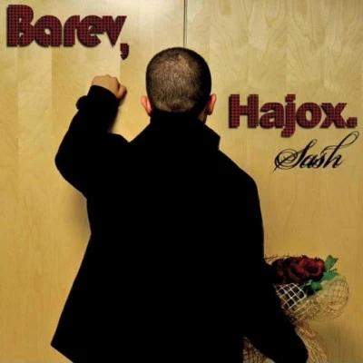 Barev Hajox 专辑 Sash