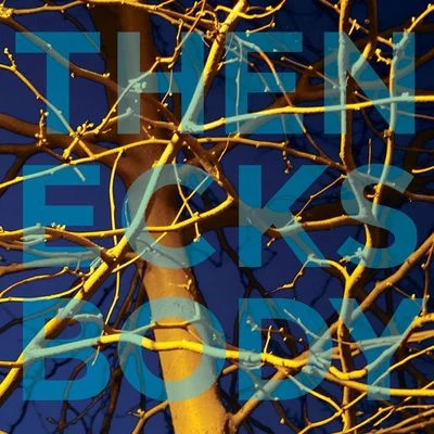 Body 专辑 The Necks/Tony Buck/Chris Abrahams