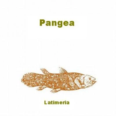 Latimeria 專輯 M.Y. Project/Pangea/Surupo/Surfer/Axis Mundi