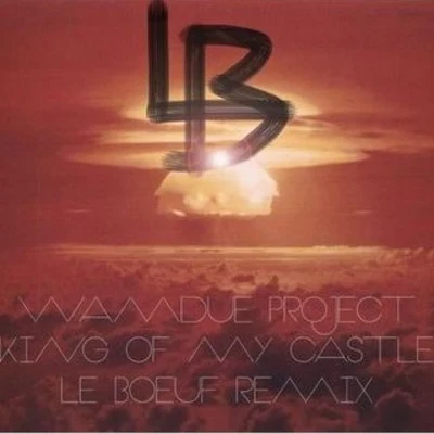 Le BoeufWarren GNate Dogg King Of My Castle (Le Boeuf Remix)