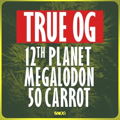 True OG 專輯 12th Planet/BAINBRIDGE/Mikey Ceaser