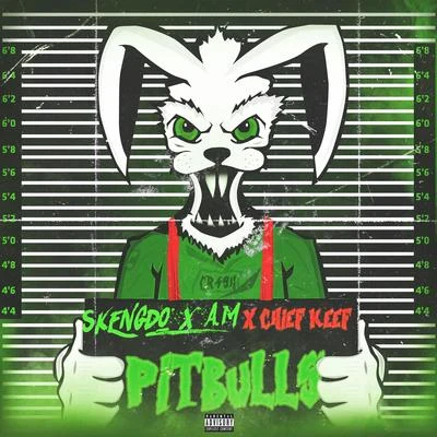 Pitbulls 專輯 Skengdo