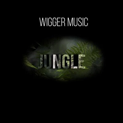 Jungle 专辑 WiGGER music/SAINt JHN