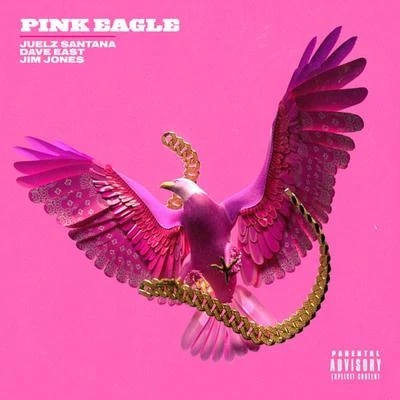 Pink Eagle (feat. Dave East, Jim Jones) 專輯 Juelz Santana