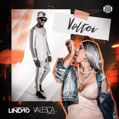 Voltei 專輯 Mc Theus/Dj Felipe Rosa/Dj Lindão