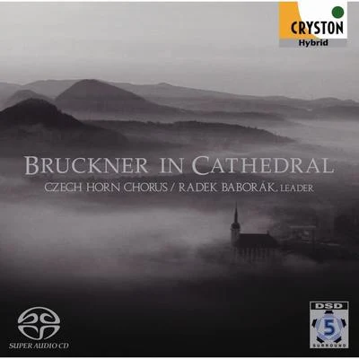 Bruckner In Cathedral 專輯 Radek Baborák