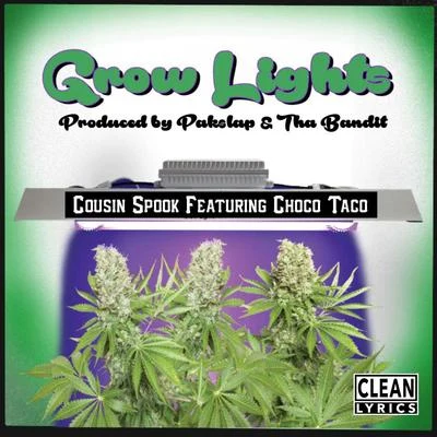 grow lights (feat. C hoc OTA co) 專輯 Cousin Spook/Lee Majors