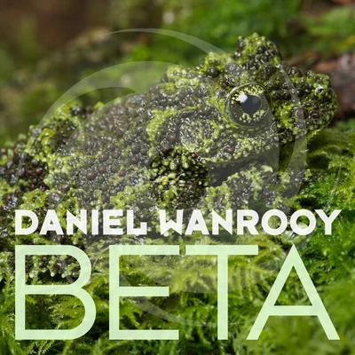 Beta 專輯 Daniel Wanrooy/Peetu S/Ralphie B/Paul Denton/Will Atkinson